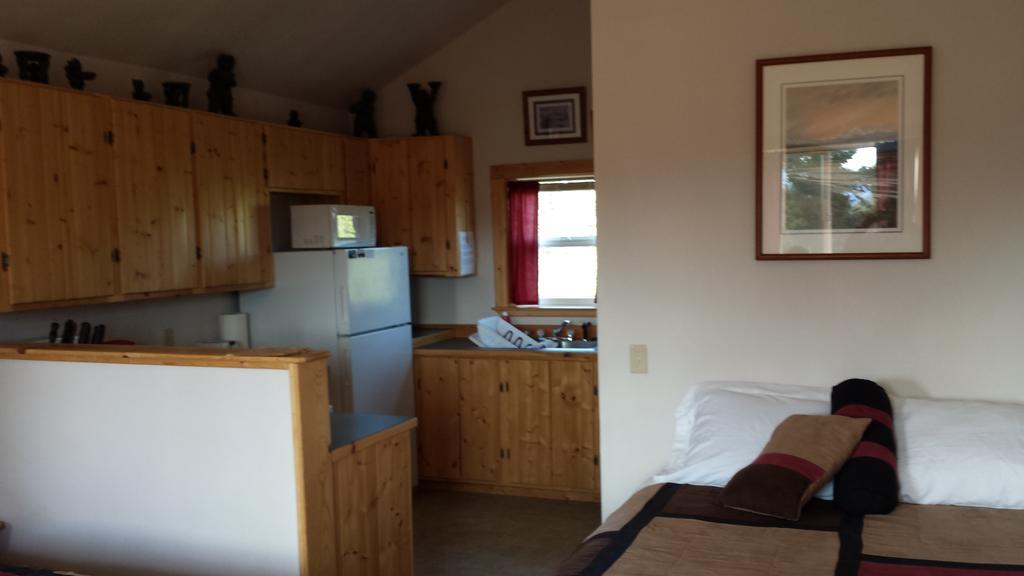 Denali'S Alaskan Spruce Cabins 힐리 외부 사진
