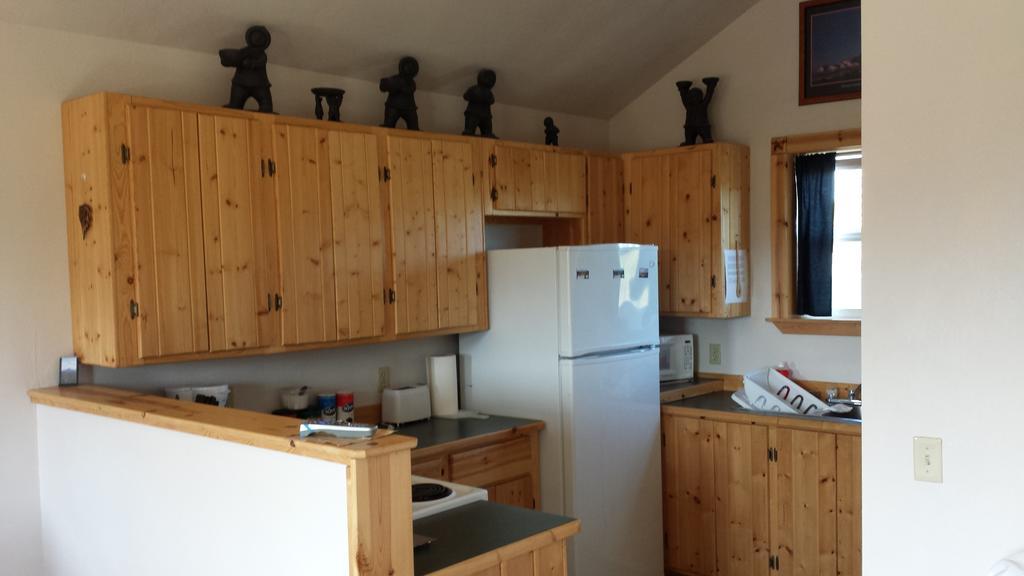 Denali'S Alaskan Spruce Cabins 힐리 외부 사진