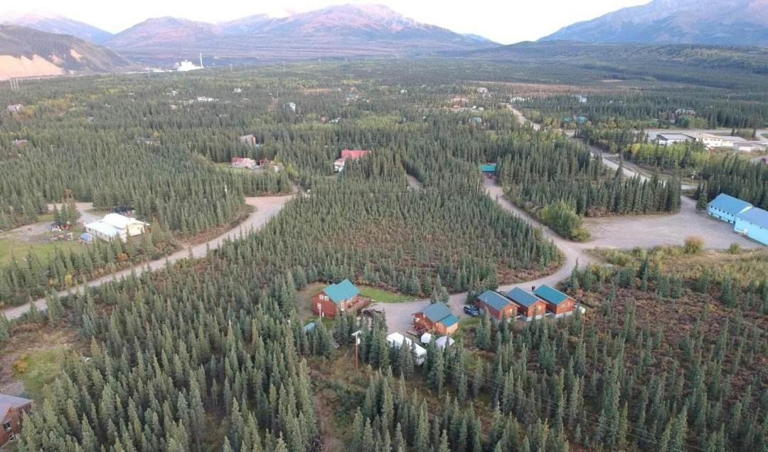 Alaskan Spruce Cabins 힐리 외부 사진