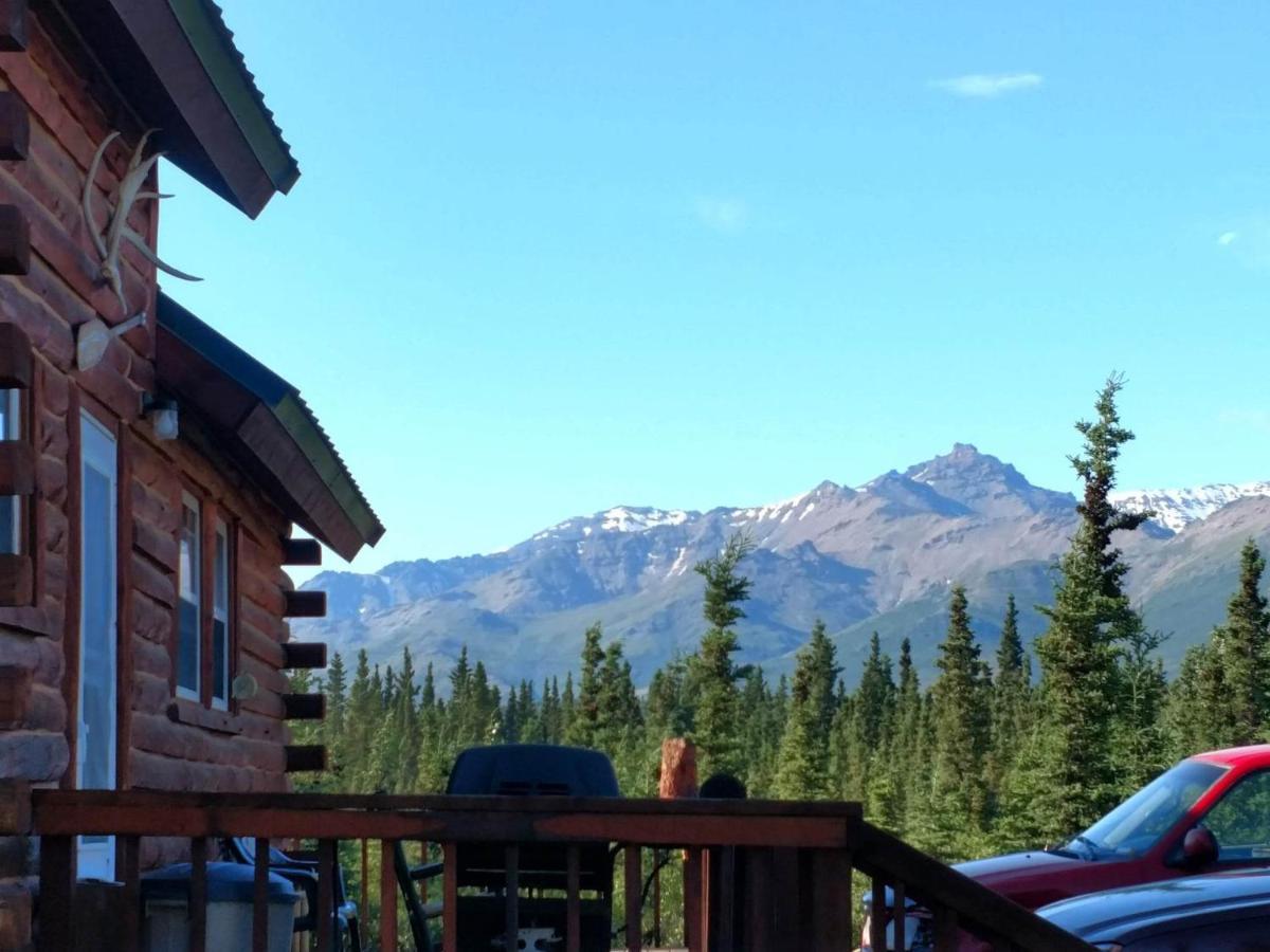 Alaskan Spruce Cabins 힐리 외부 사진