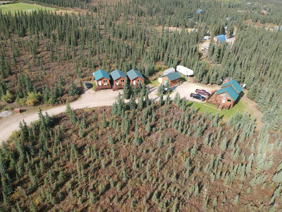 Alaskan Spruce Cabins 힐리 외부 사진