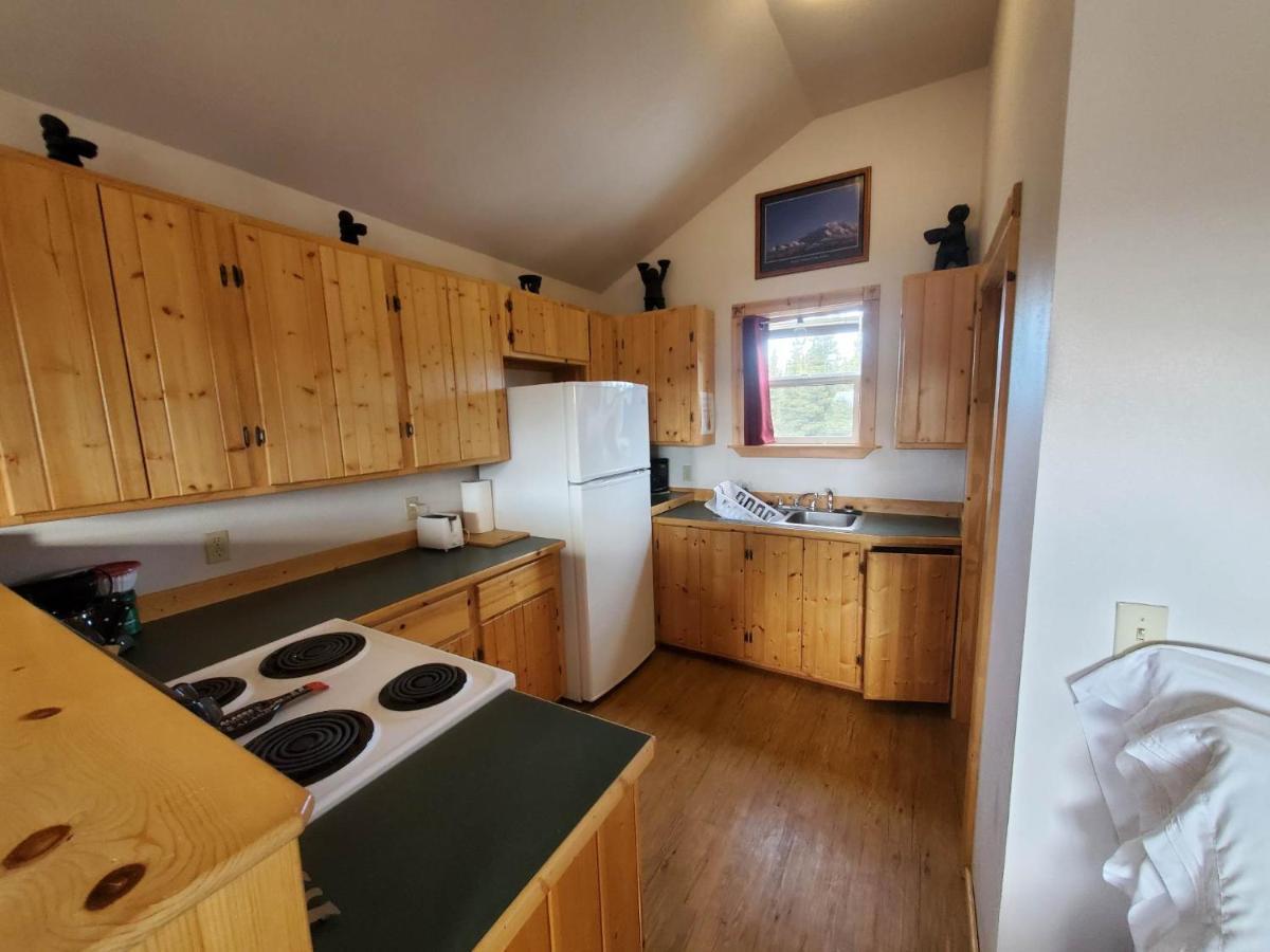 Denali'S Alaskan Spruce Cabins 힐리 외부 사진