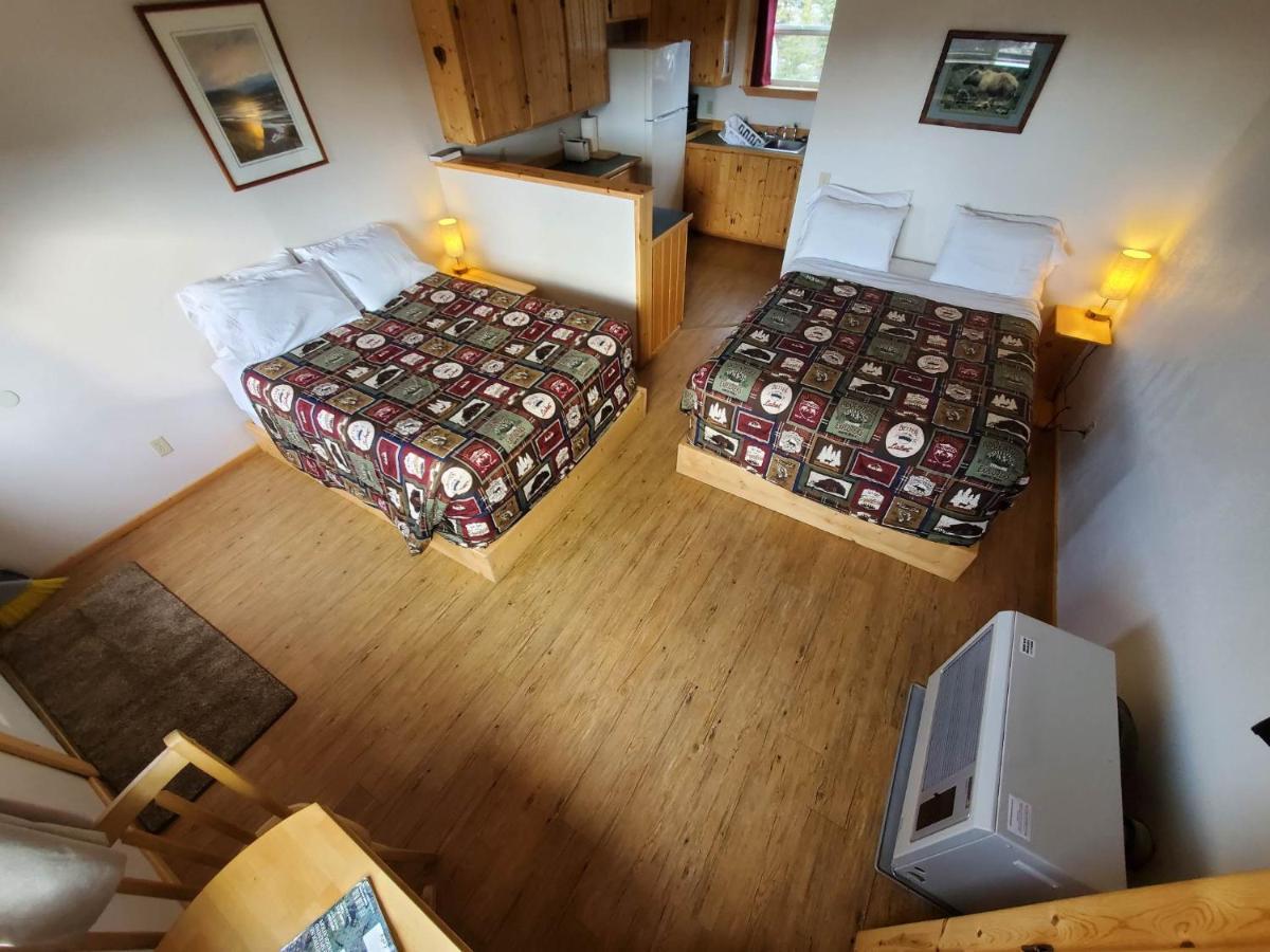 Denali'S Alaskan Spruce Cabins 힐리 외부 사진