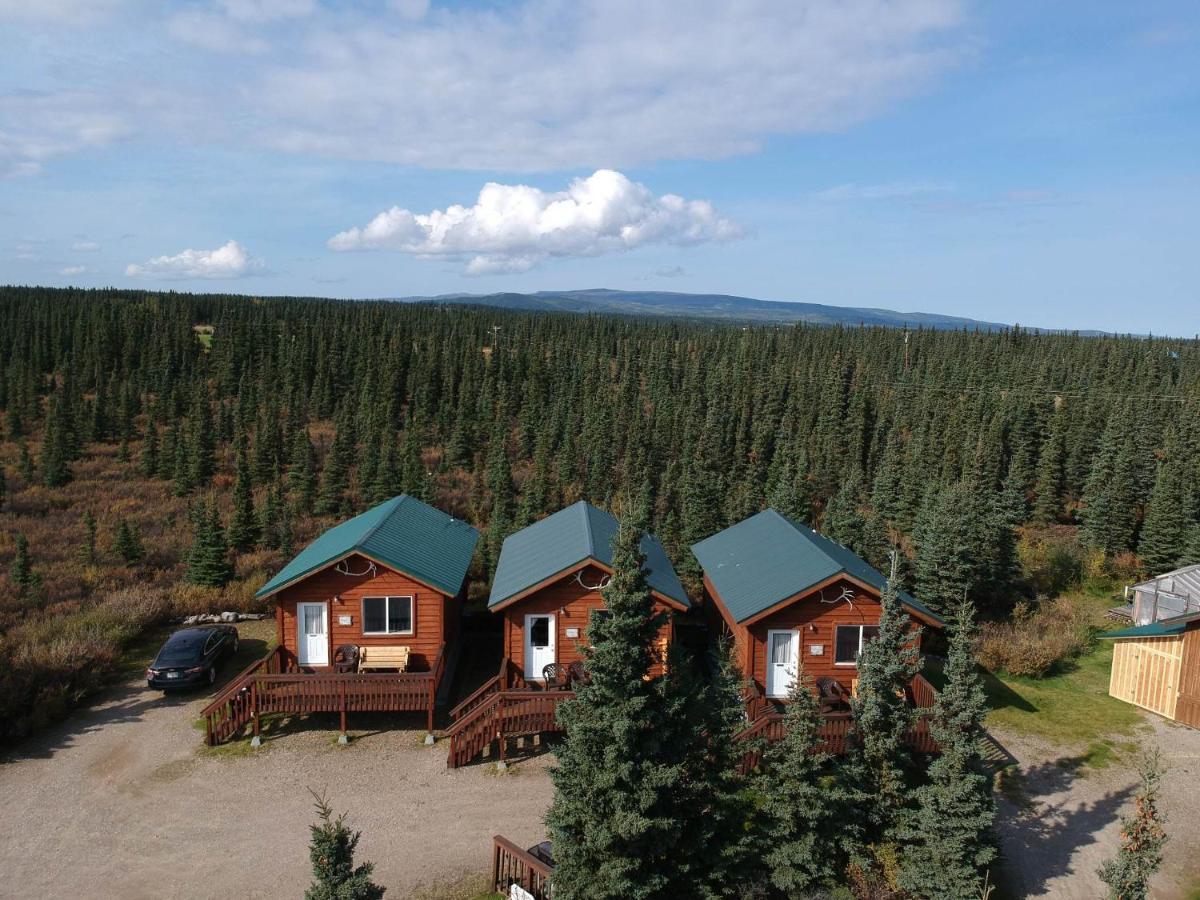 Alaskan Spruce Cabins 힐리 외부 사진