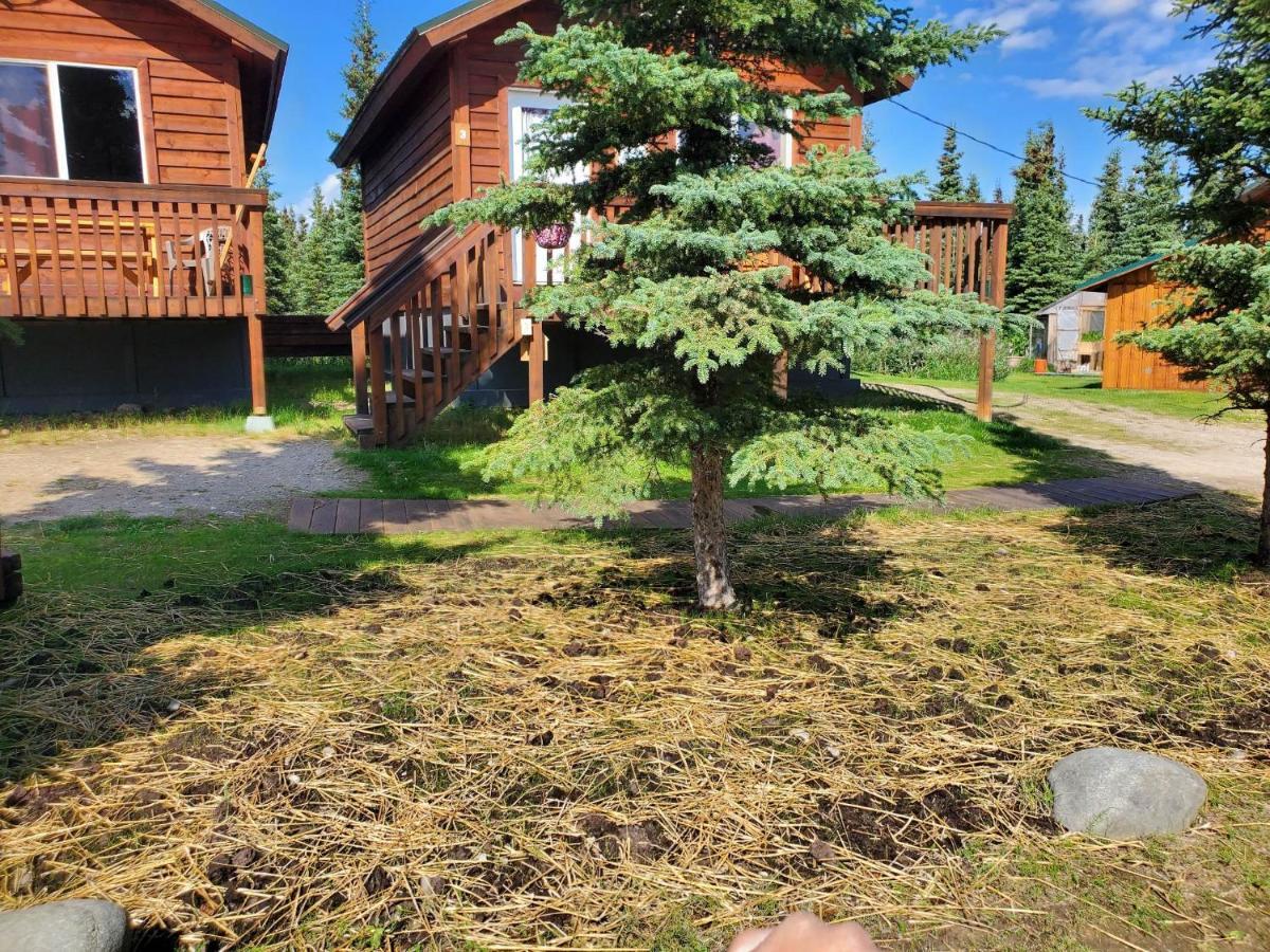 Alaskan Spruce Cabins 힐리 외부 사진