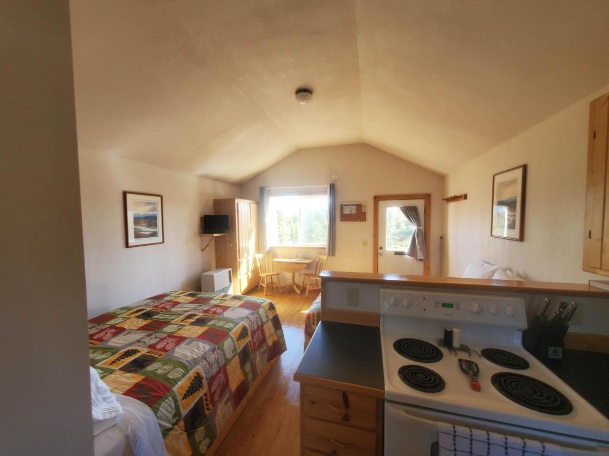 Denali'S Alaskan Spruce Cabins 힐리 외부 사진
