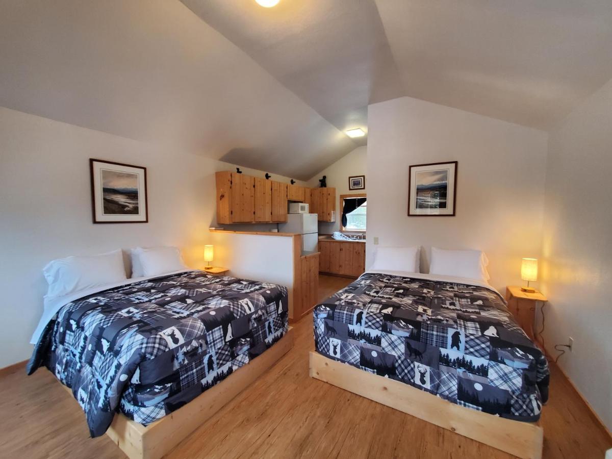 Denali'S Alaskan Spruce Cabins 힐리 외부 사진