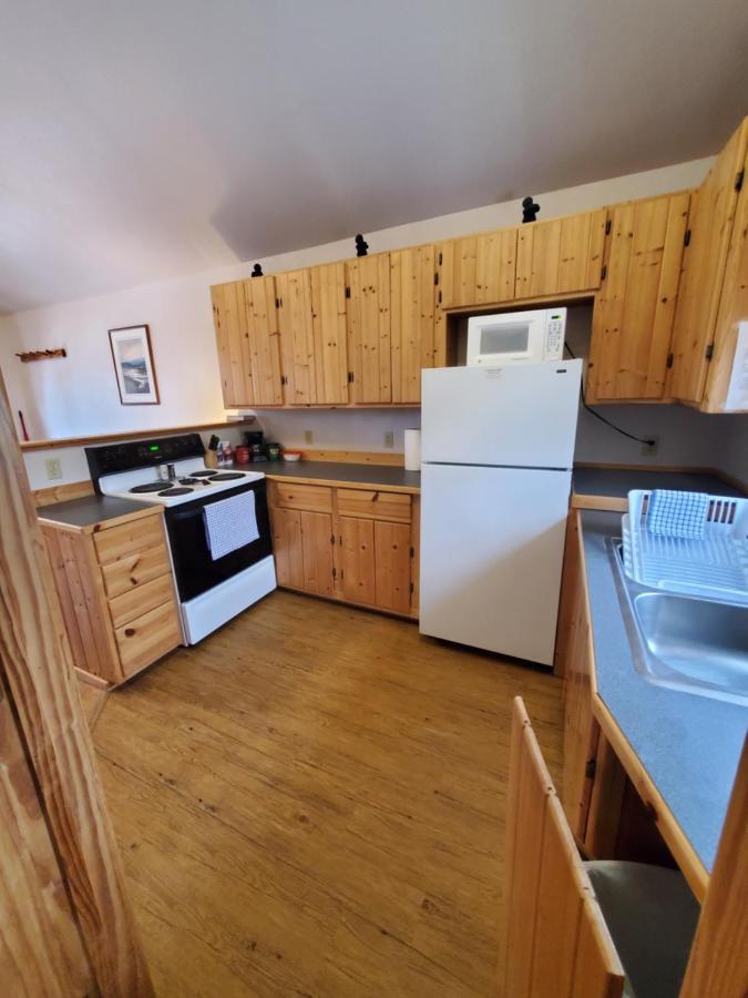 Denali'S Alaskan Spruce Cabins 힐리 외부 사진