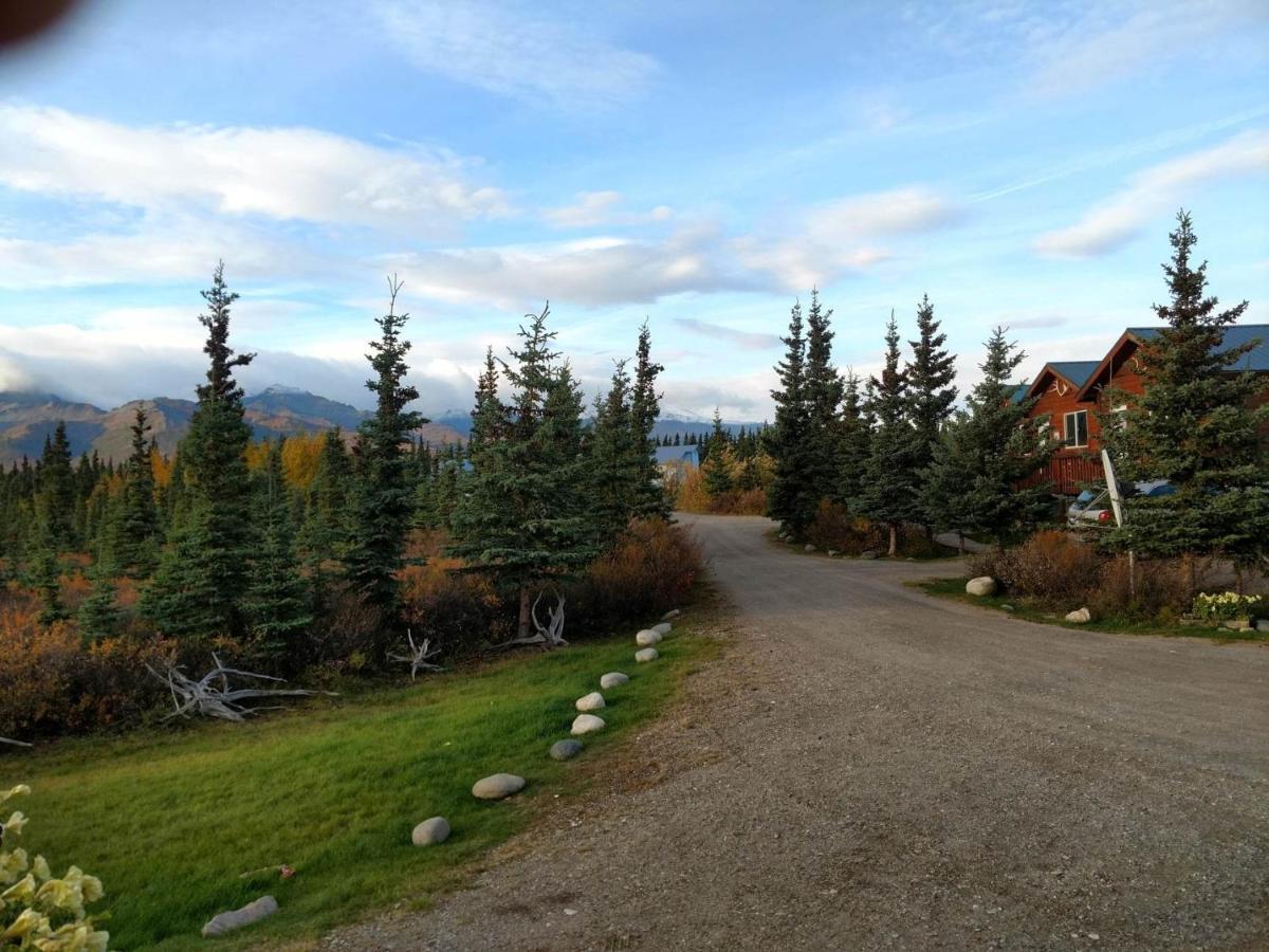 Alaskan Spruce Cabins 힐리 외부 사진