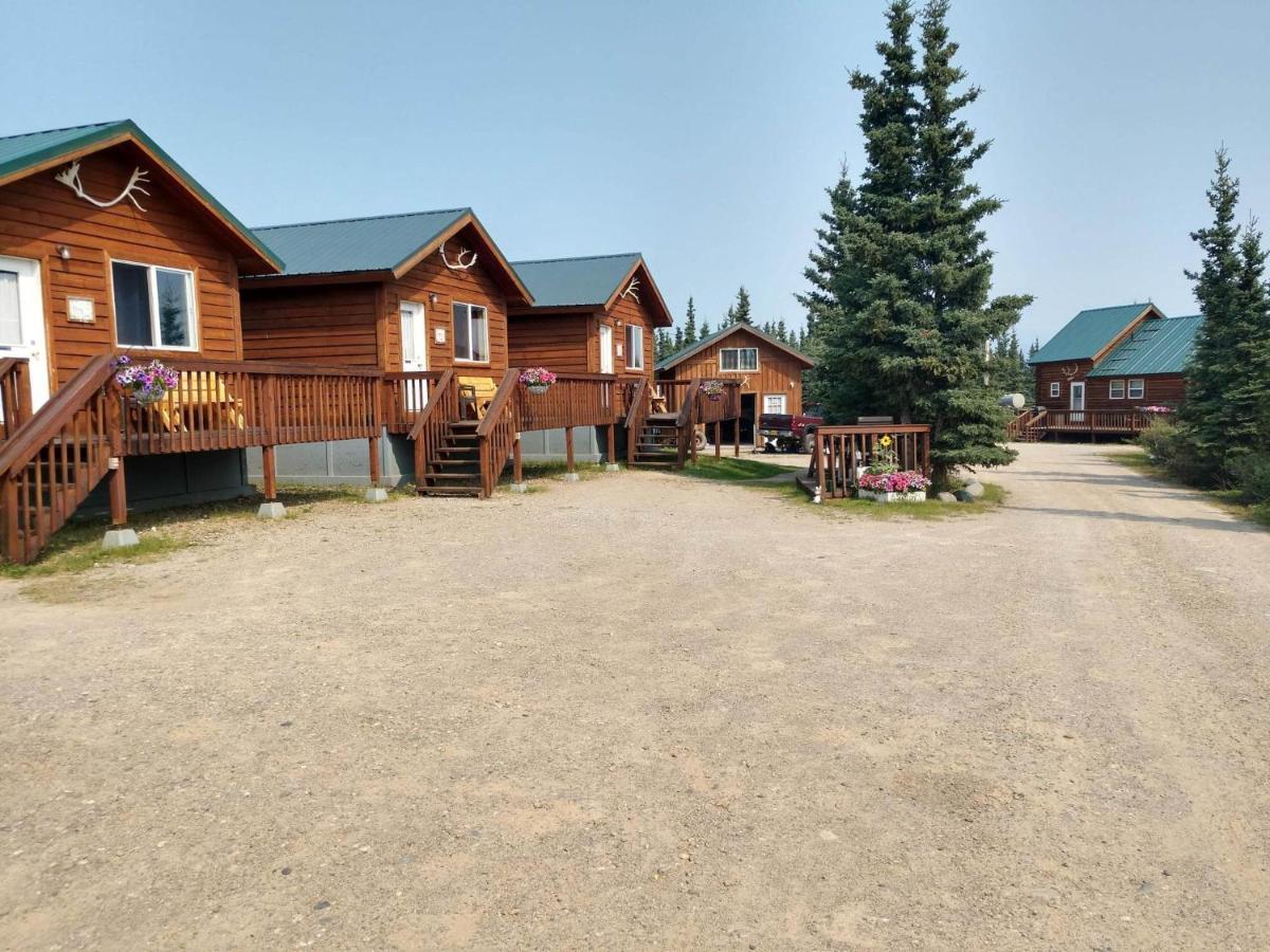 Alaskan Spruce Cabins 힐리 외부 사진