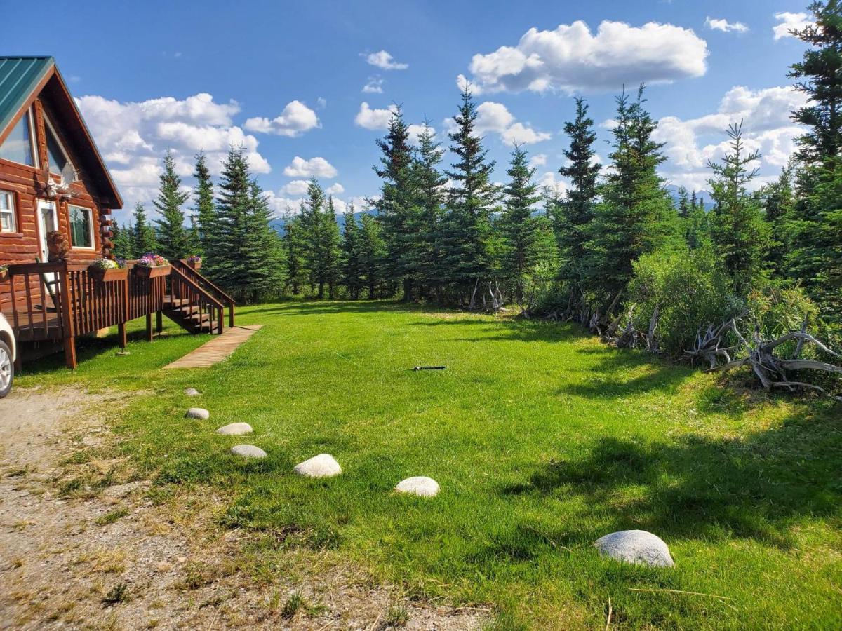 Alaskan Spruce Cabins 힐리 외부 사진