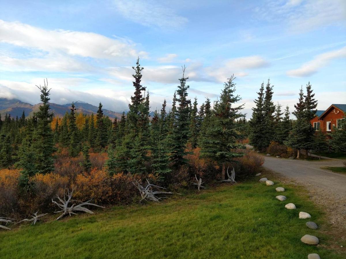 Alaskan Spruce Cabins 힐리 외부 사진