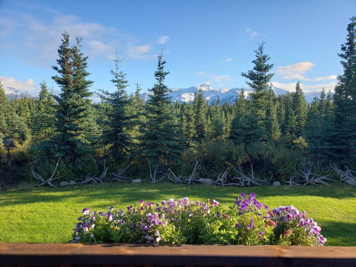 Denali'S Alaskan Spruce Cabins 힐리 외부 사진
