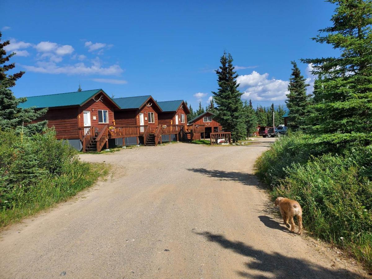 Alaskan Spruce Cabins 힐리 외부 사진