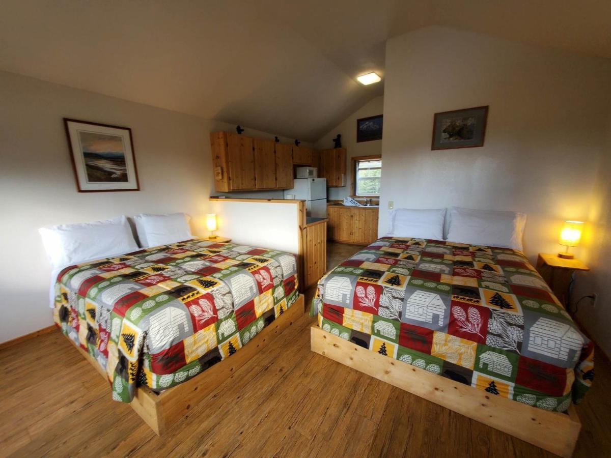 Denali'S Alaskan Spruce Cabins 힐리 외부 사진