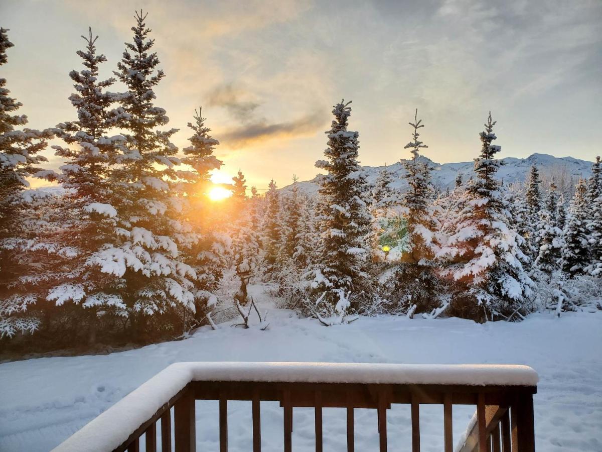 Denali'S Alaskan Spruce Cabins 힐리 외부 사진