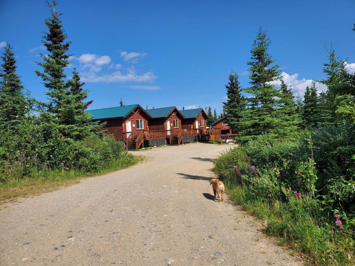 Alaskan Spruce Cabins 힐리 외부 사진