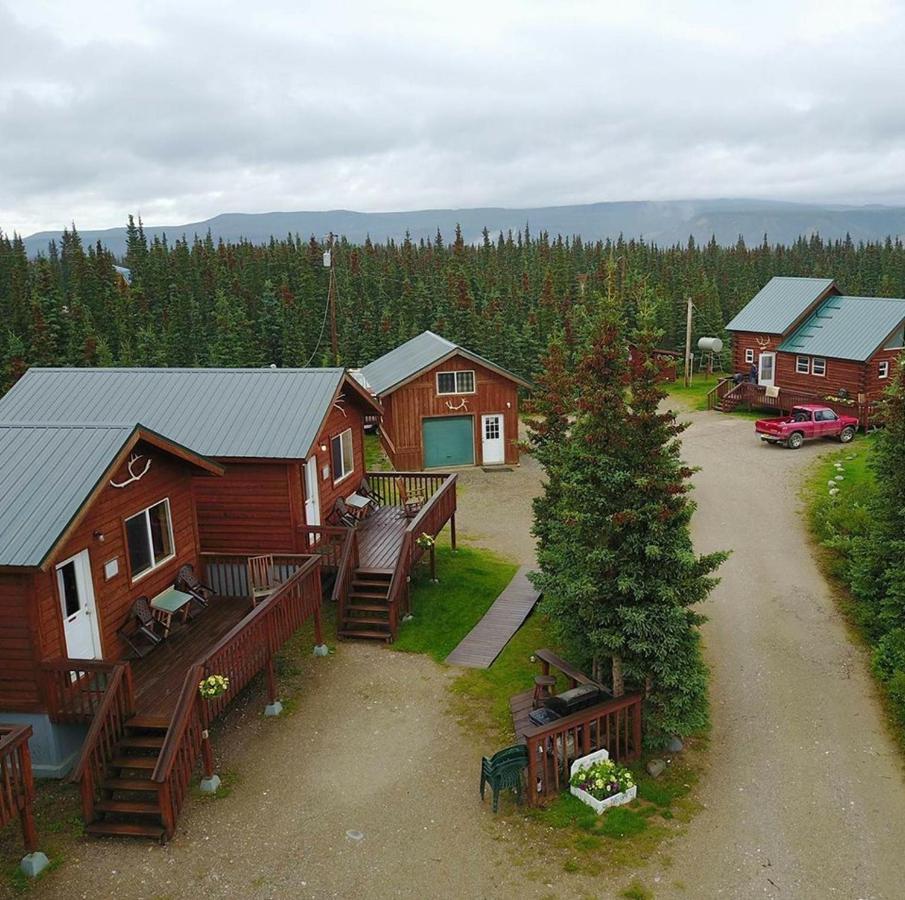 Alaskan Spruce Cabins 힐리 외부 사진