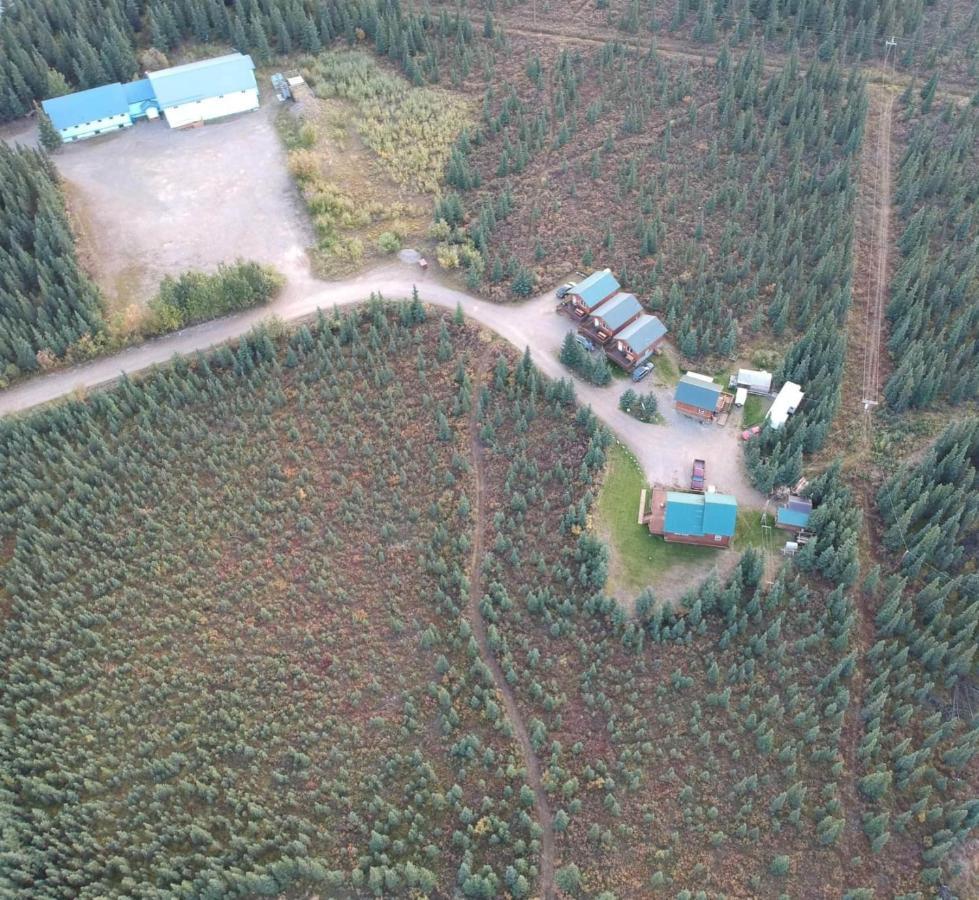Denali'S Alaskan Spruce Cabins 힐리 외부 사진