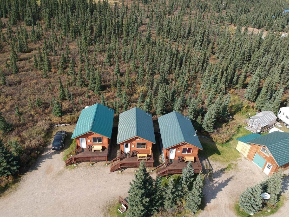 Alaskan Spruce Cabins 힐리 외부 사진