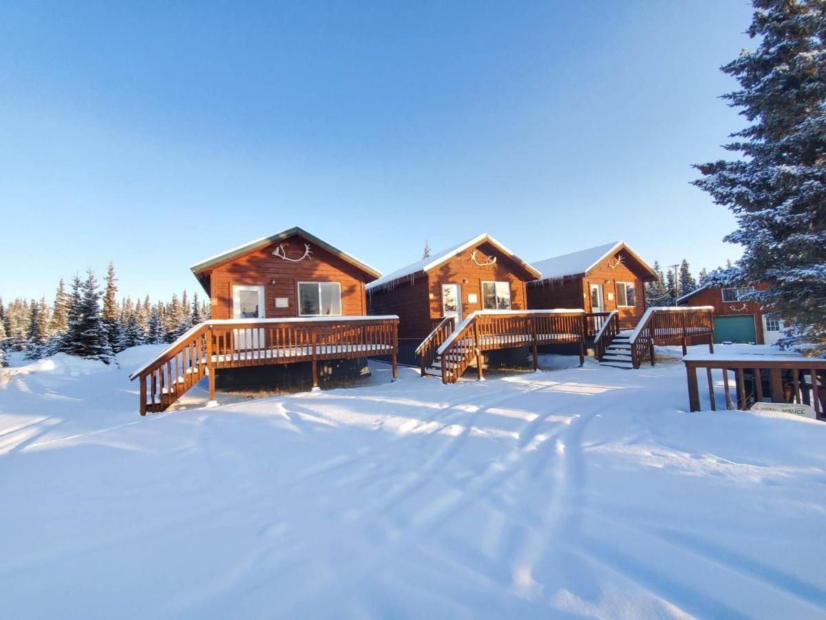 Alaskan Spruce Cabins 힐리 외부 사진