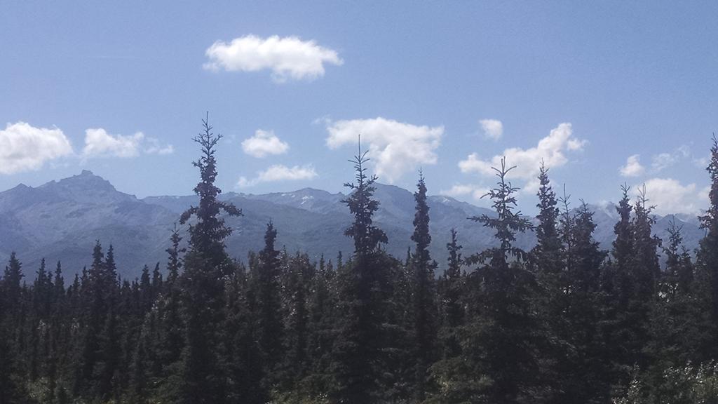 Alaskan Spruce Cabins 힐리 외부 사진