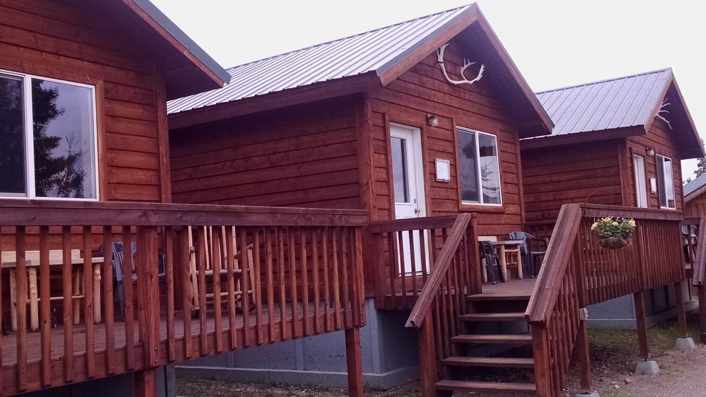 Denali'S Alaskan Spruce Cabins 힐리 외부 사진
