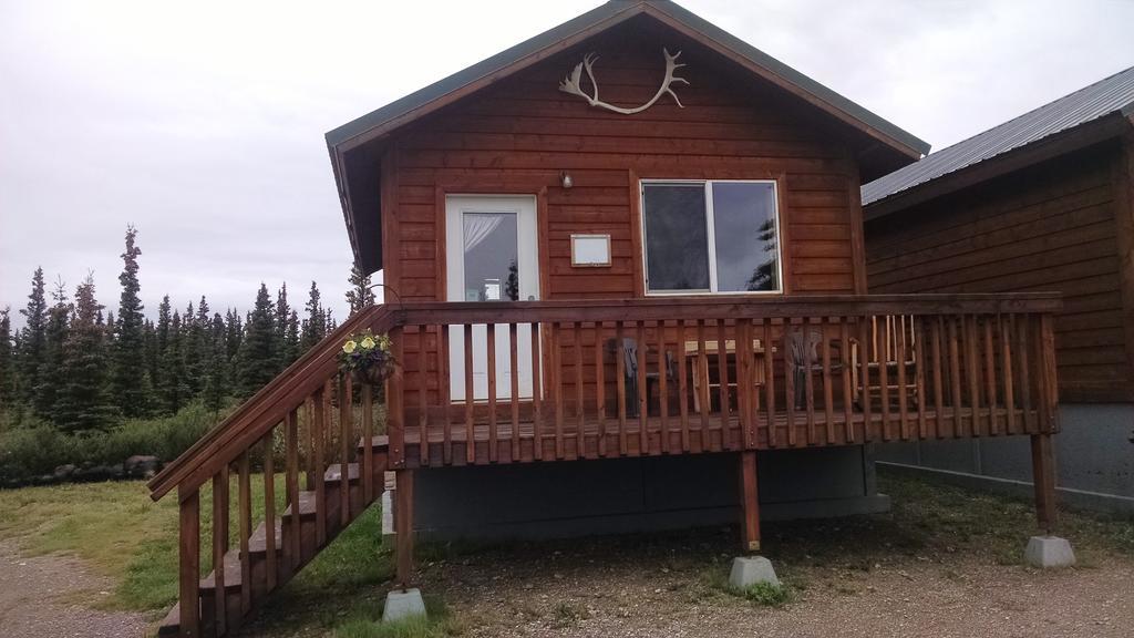 Denali'S Alaskan Spruce Cabins 힐리 외부 사진