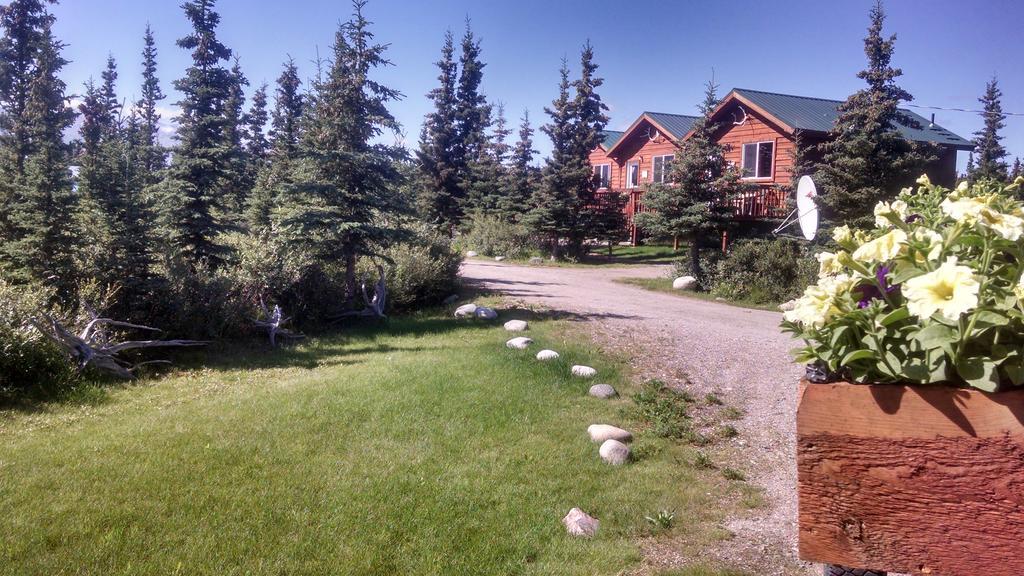 Denali'S Alaskan Spruce Cabins 힐리 외부 사진