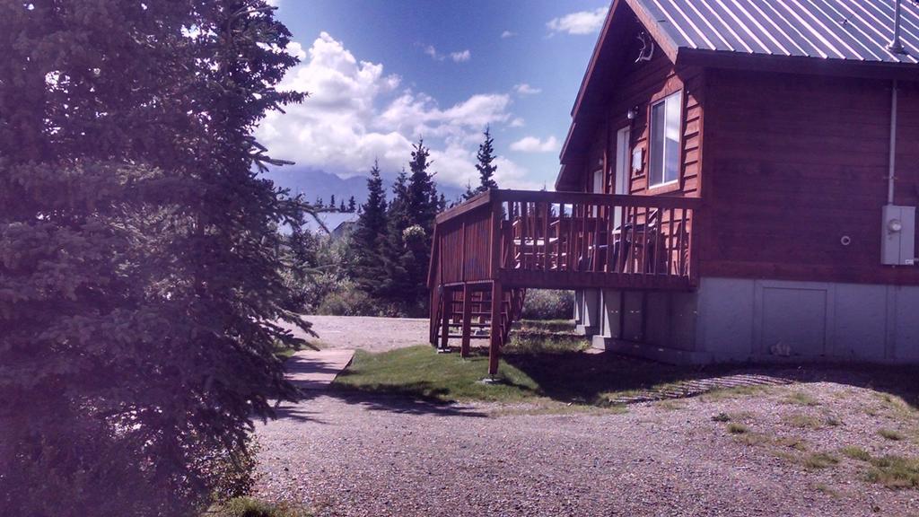 Alaskan Spruce Cabins 힐리 외부 사진