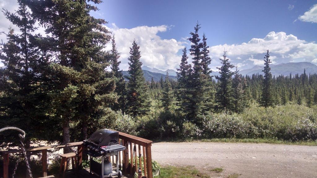 Alaskan Spruce Cabins 힐리 외부 사진