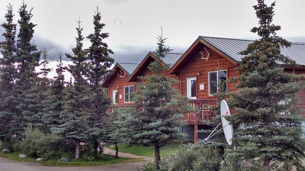 Denali'S Alaskan Spruce Cabins 힐리 외부 사진