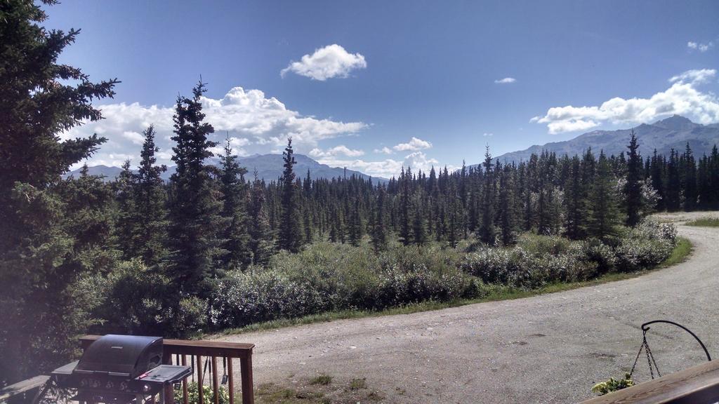 Denali'S Alaskan Spruce Cabins 힐리 외부 사진