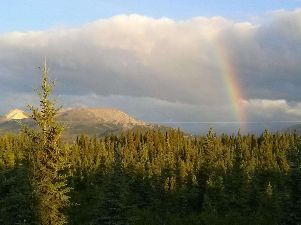 Alaskan Spruce Cabins 힐리 외부 사진