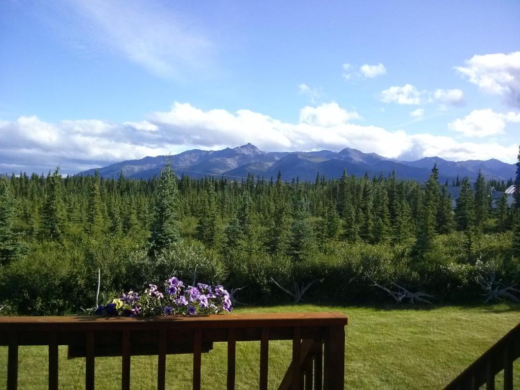 Alaskan Spruce Cabins 힐리 외부 사진