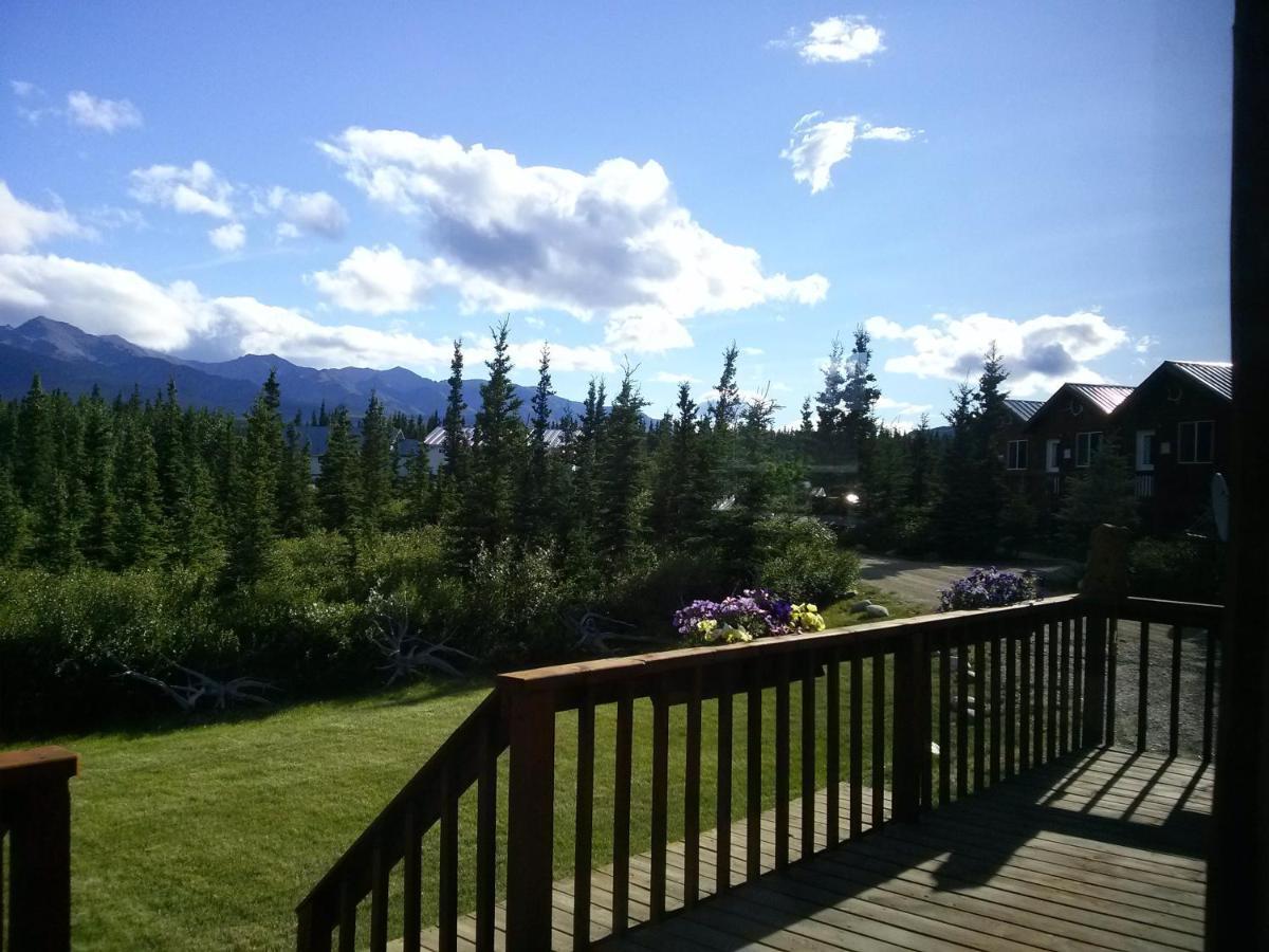 Alaskan Spruce Cabins 힐리 외부 사진